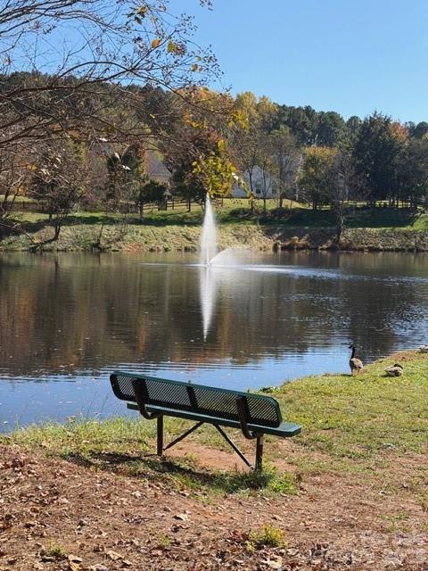 7167 April Mist Trail Huntersville, NC 28078 - Photo 17 of 19