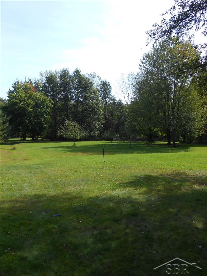 6760 South Steel Road St. Charles, MI 48655 - Photo 35 of 43 Summer Yard
