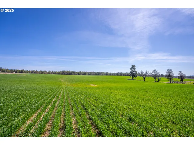 $75,000 | 14 Mountainscape Circle, Goldendale, WA 98620