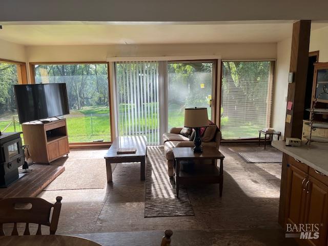 38555 Hauser Bridge Road Cazadero, CA 95421 - Photo 22 of 93