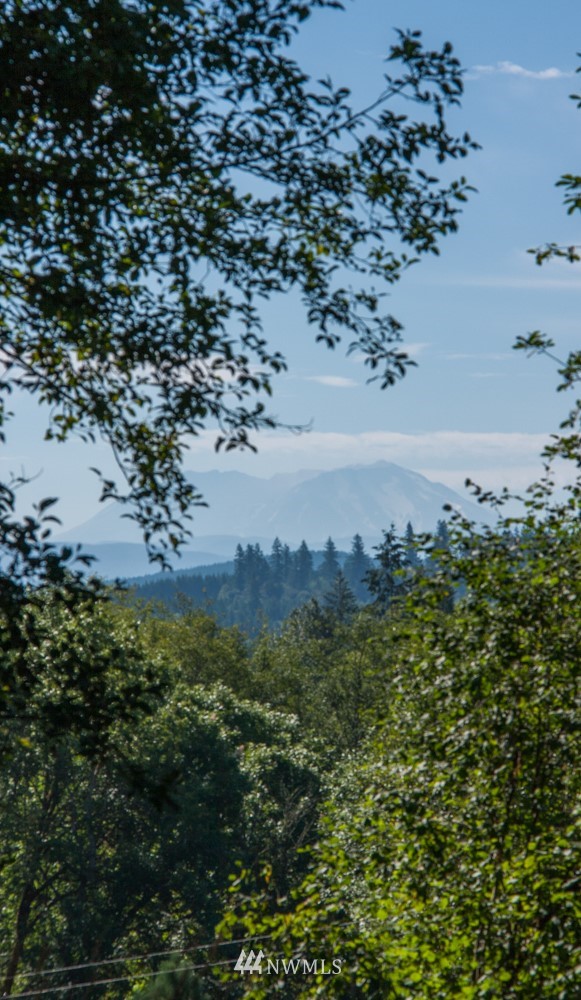 325 View Ridge Road Onalaska, WA 98570 - Photo 19 of 20 Gallery Image 19
