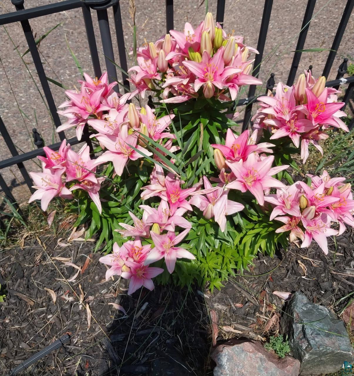 107 South 4th Street Bayfield, WI 54814 - Photo 26 of 28