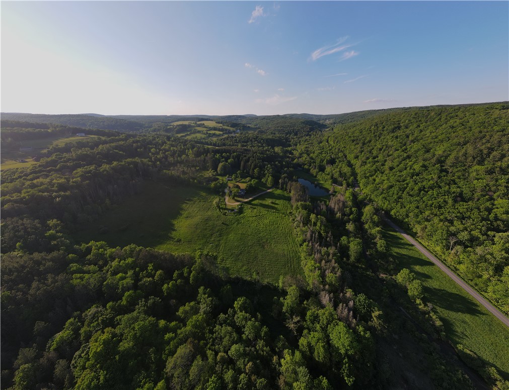 121 Palmer Road Jefferson, NY 12093 - Photo 46 of 49