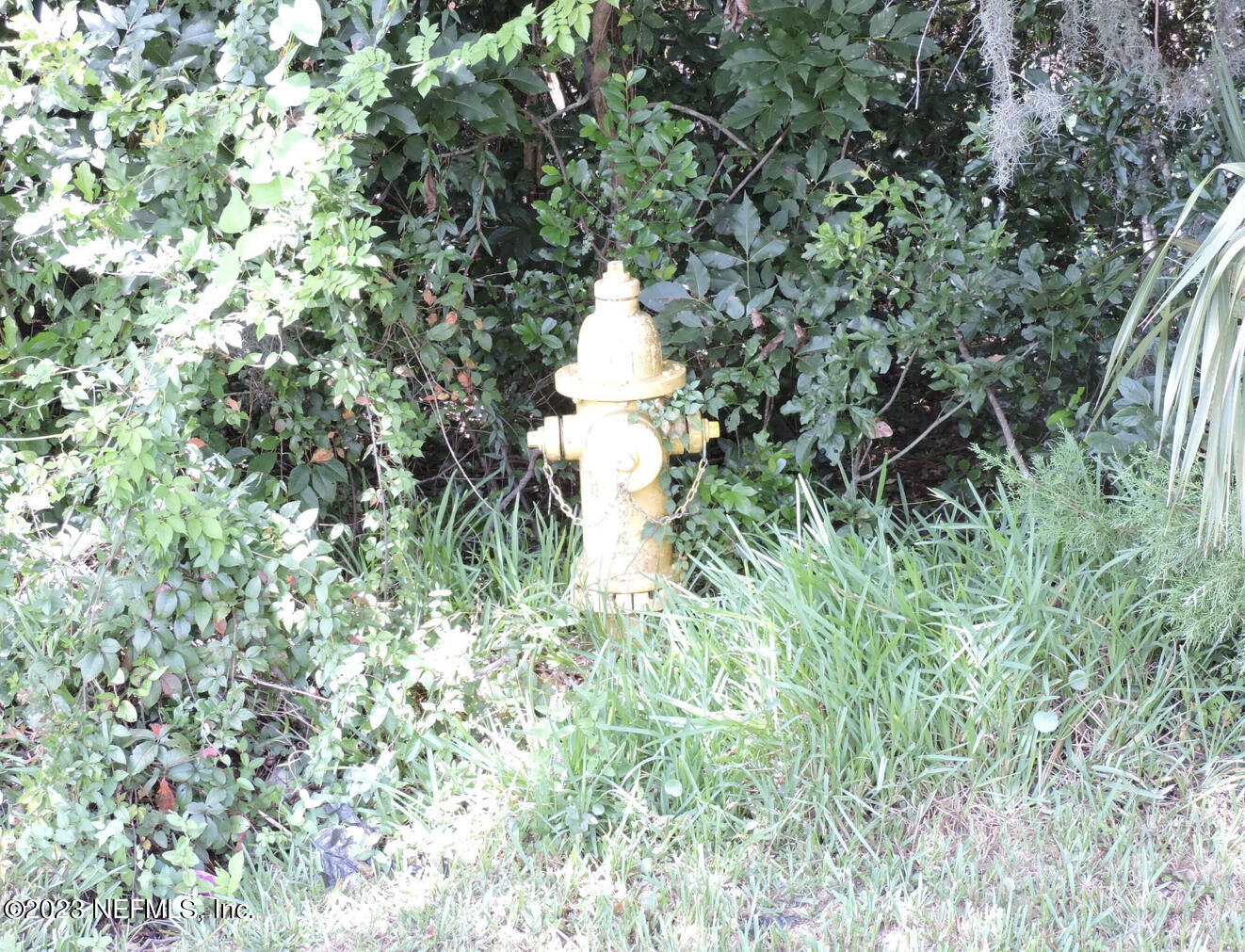 12532 Yellow Bluff Road Jacksonville, FL 32226 - Photo 10 of 13 IMG_5901