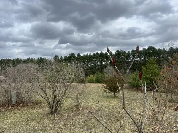 $30,000 | 0 Spruce Street, Fountain City, WI 54629