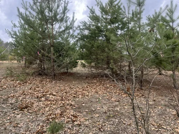 $30,000 | 0 Spruce Street, Fountain City, WI 54629