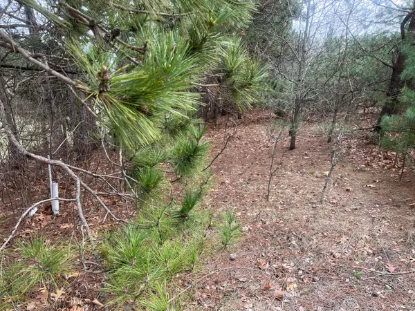 $30,000 | 0 Spruce Street, Fountain City, WI 54629