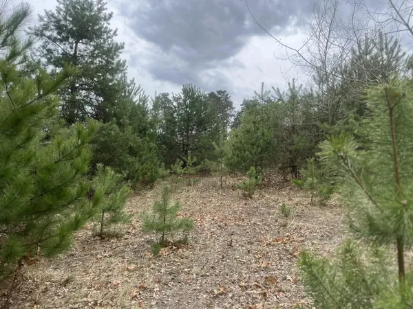 $30,000 | 0 Spruce Street, Fountain City, WI 54629