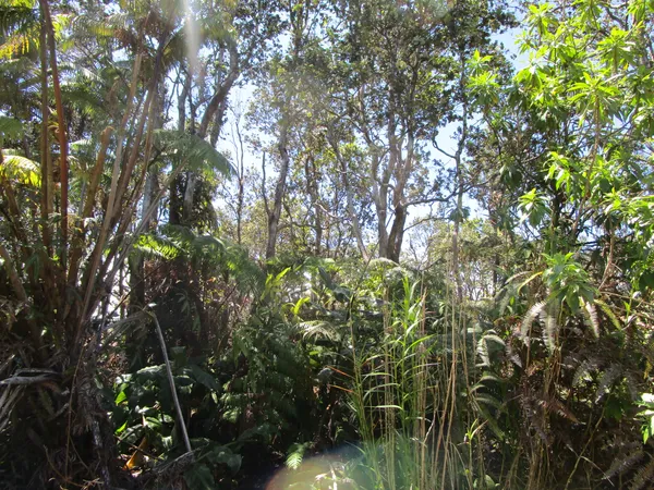 $38,000 | Lot 53-b-359 Lot 53-b-359 Nahelenani Street, Volcano, HI 96785