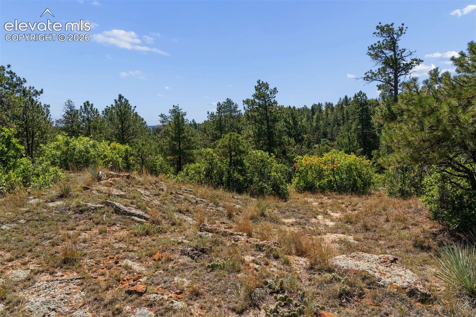 1015 Timber Valley Road Colorado Springs, CO 80919 - Photo 49 of 50 Gallery Image 49