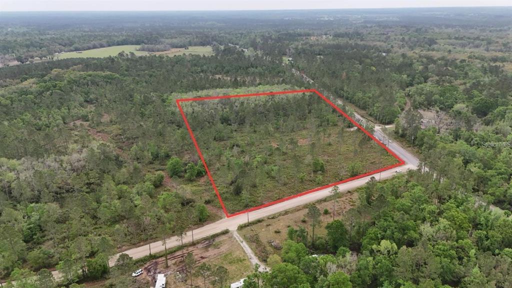 25 Southeast A Se County Road White Springs, FL 32096 - Photo 2 of 18 a view of a forest from a balcony