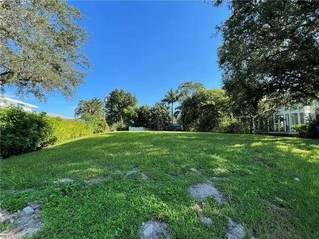 a view of green field with trees in the background