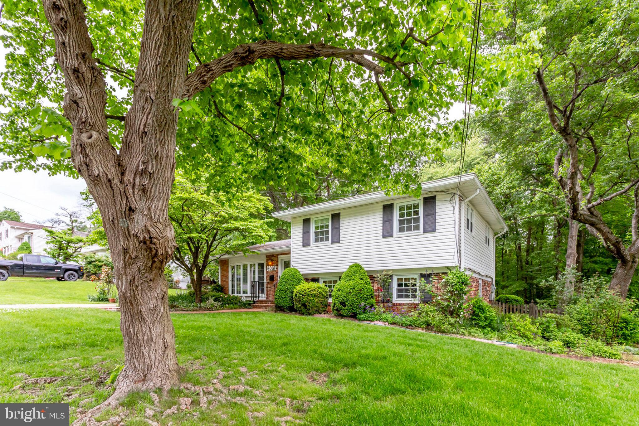6016 Craft Road Alexandria, VA 22310 - Photo 3 of 32 a front view of a house with garden