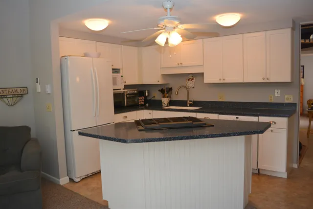 $549,054 | 54 Black Duck Spur, Grantham, NH 03753