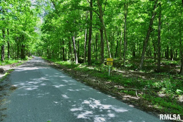 $62,550 | 0 Battleford Road, Stonefort, IL 62987