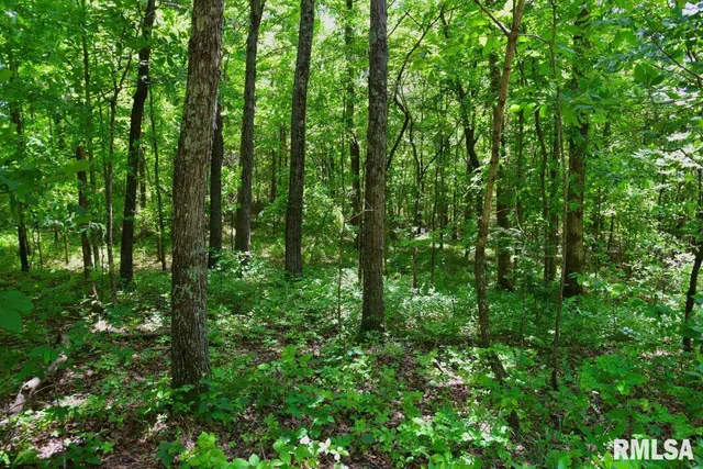 $62,550 | 0 Battleford Road, Stonefort, IL 62987