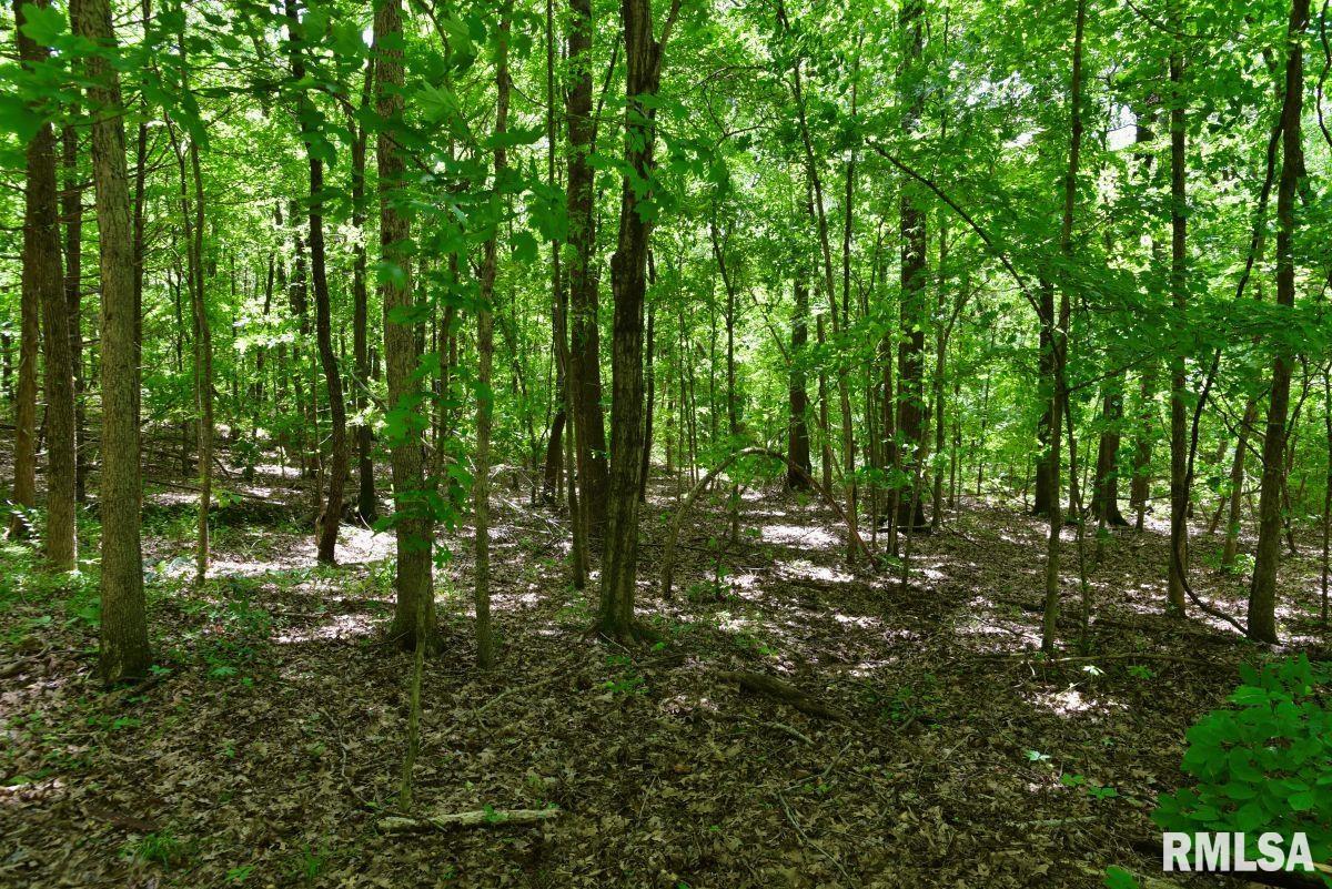 0 Battleford Road Stonefort, IL 62987 - Photo 12 of 22