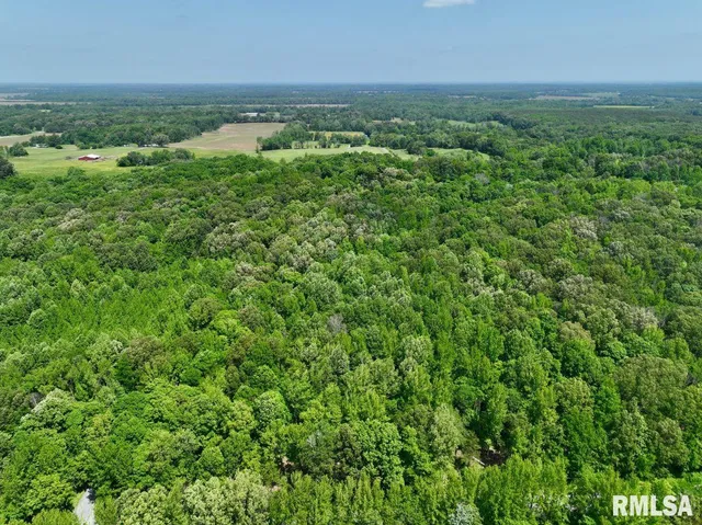 $62,550 | 0 Battleford Road, Stonefort, IL 62987