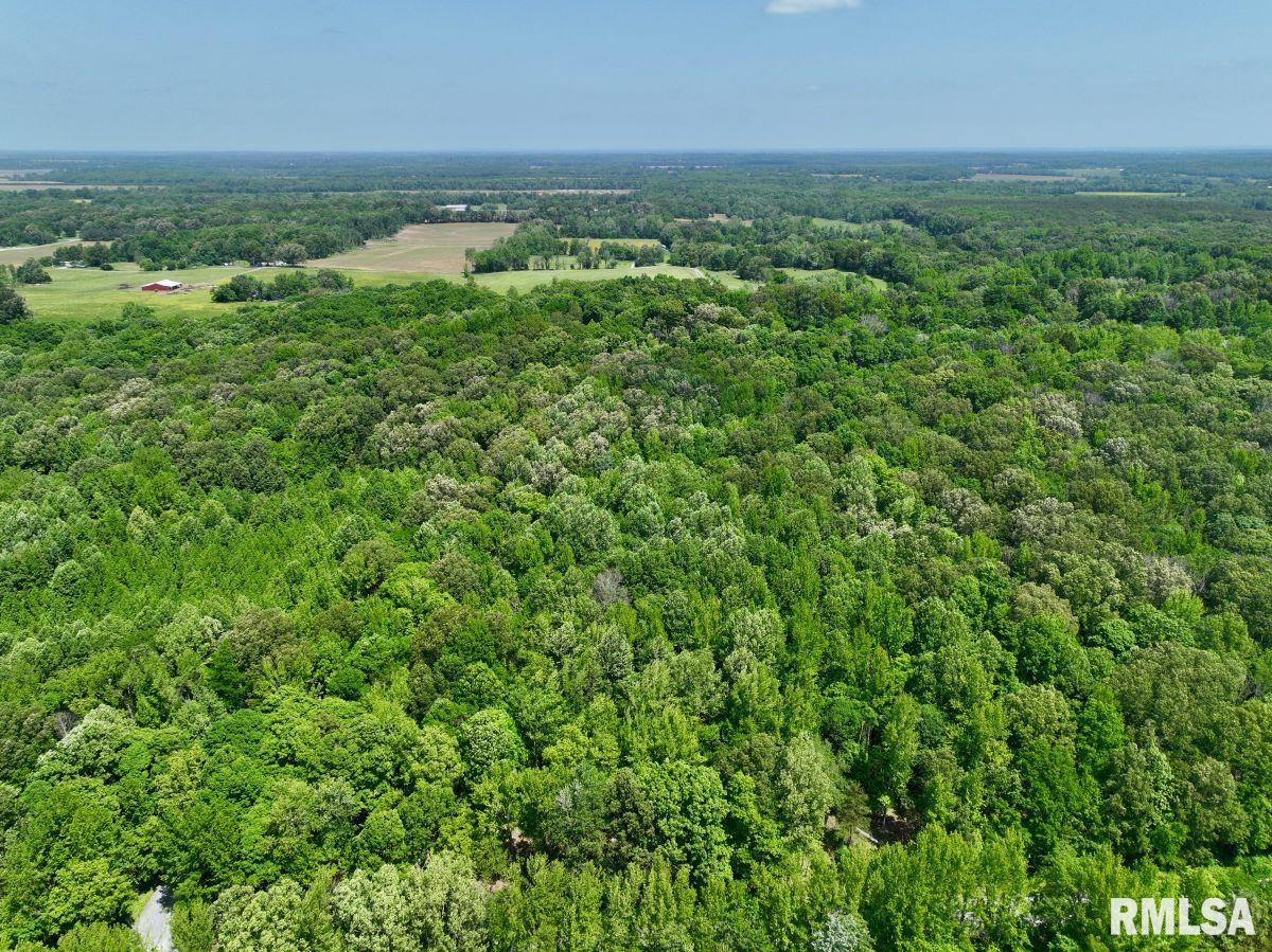 0 Battleford Road Stonefort, IL 62987 - Photo 13 of 22