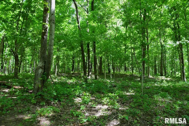 $62,550 | 0 Battleford Road, Stonefort, IL 62987