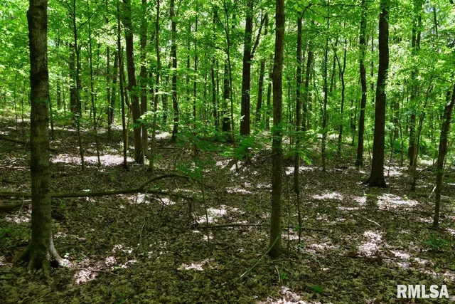 $62,550 | 0 Battleford Road, Stonefort, IL 62987