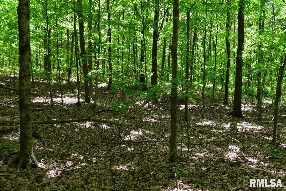 0 Battleford Road Stonefort, IL 62987 - Photo 15 of 22