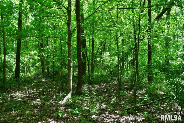 $62,550 | 0 Battleford Road, Stonefort, IL 62987