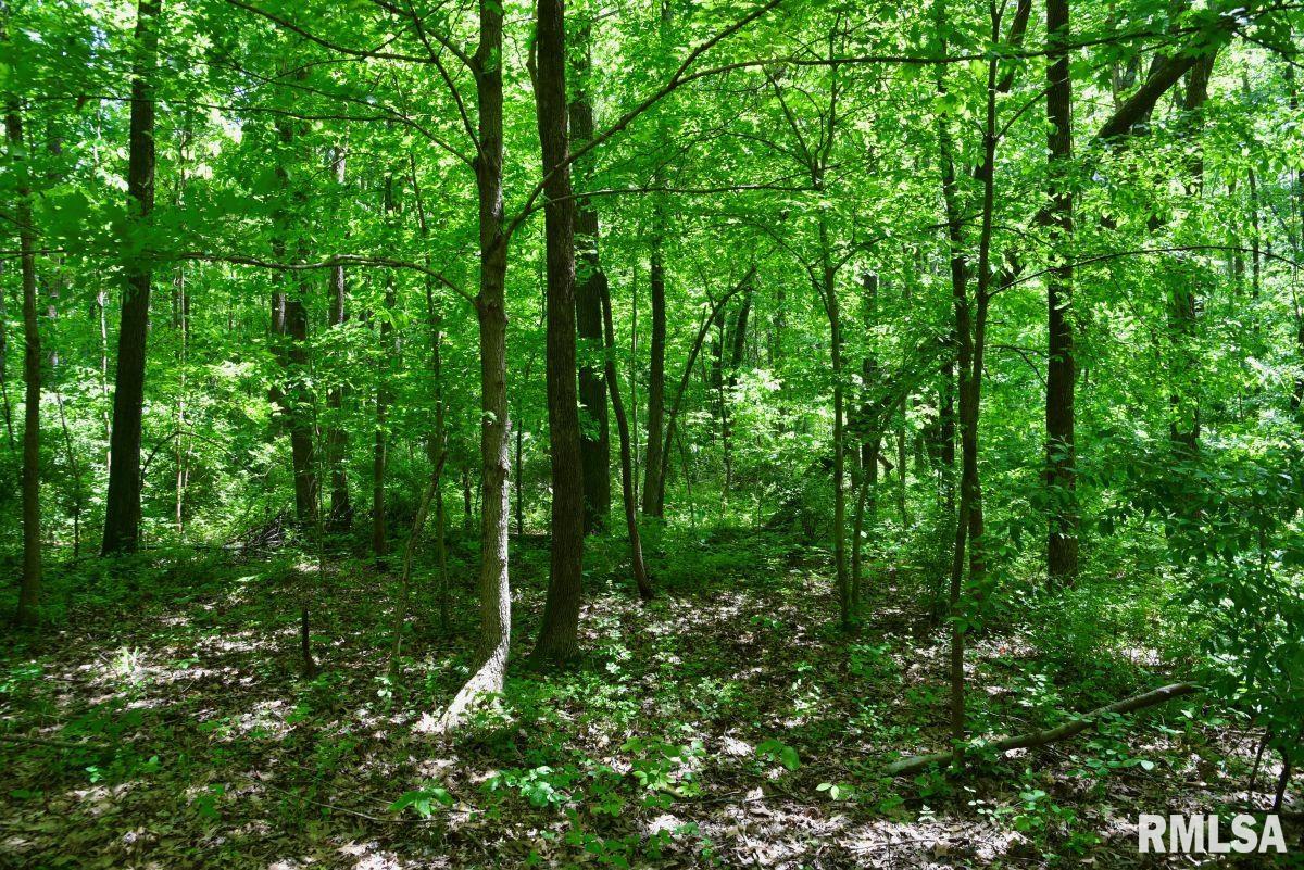 0 Battleford Road Stonefort, IL 62987 - Photo 16 of 22