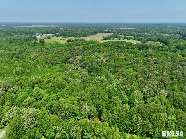 $62,550 | 0 Battleford Road, Stonefort, IL 62987