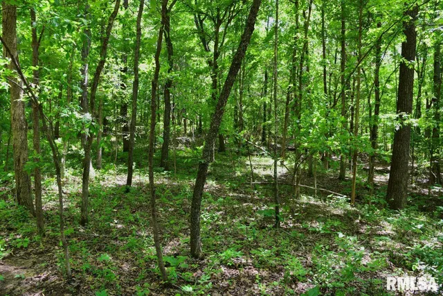 $62,550 | 0 Battleford Road, Stonefort, IL 62987