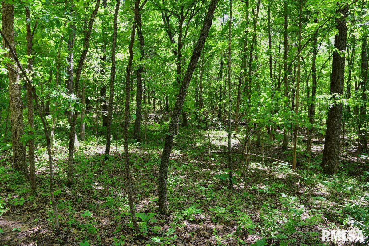 0 Battleford Road Stonefort, IL 62987 - Photo 18 of 22