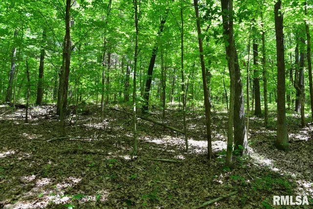 $62,550 | 0 Battleford Road, Stonefort, IL 62987