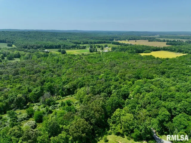 $62,550 | 0 Battleford Road, Stonefort, IL 62987