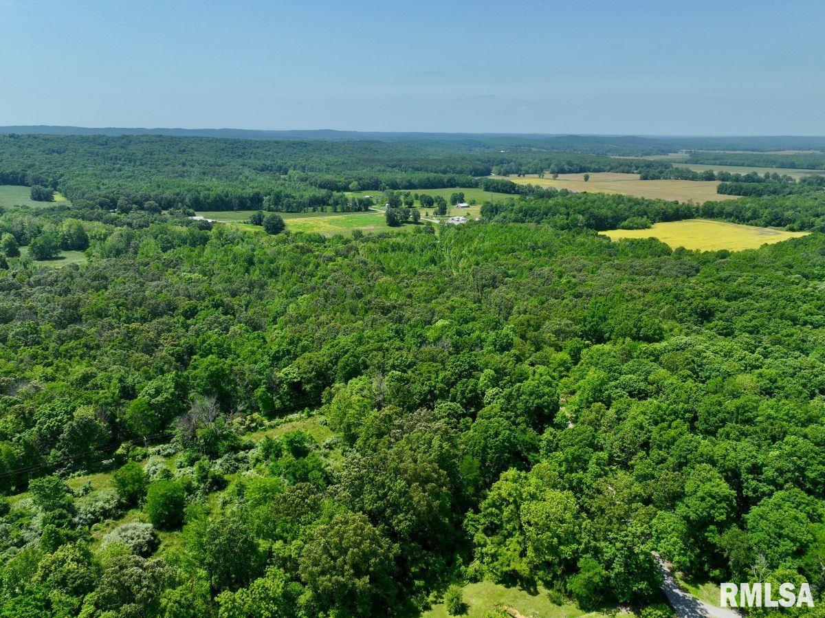 0 Battleford Road Stonefort, IL 62987 - Photo 20 of 22