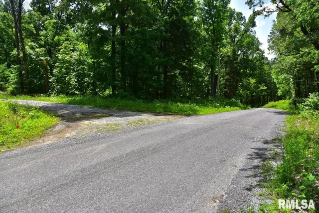 $62,550 | 0 Battleford Road, Stonefort, IL 62987