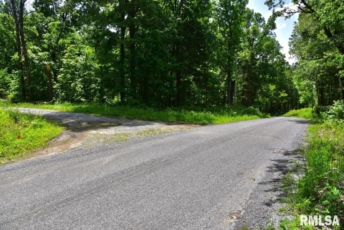 0 Battleford Road Stonefort, IL 62987 - Photo 21 of 22