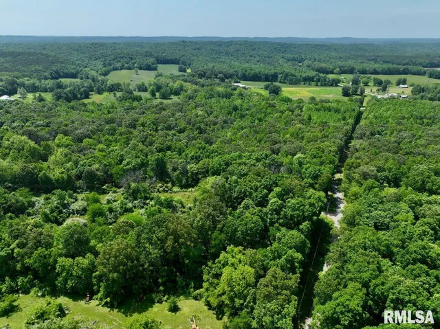 $62,550 | 0 Battleford Road, Stonefort, IL 62987