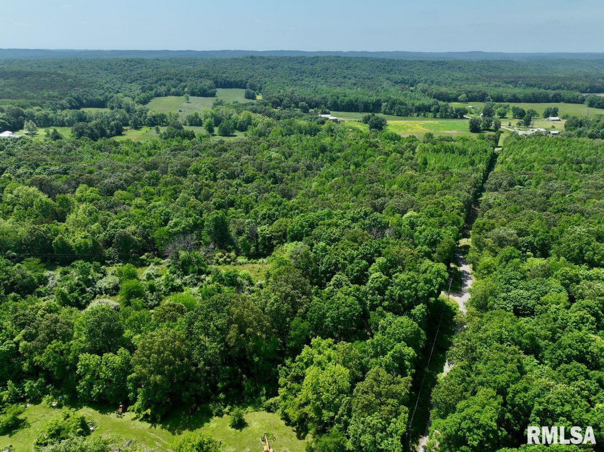 0 Battleford Road Stonefort, IL 62987 - Photo 3 of 22