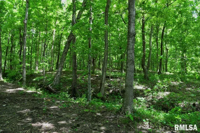 $62,550 | 0 Battleford Road, Stonefort, IL 62987