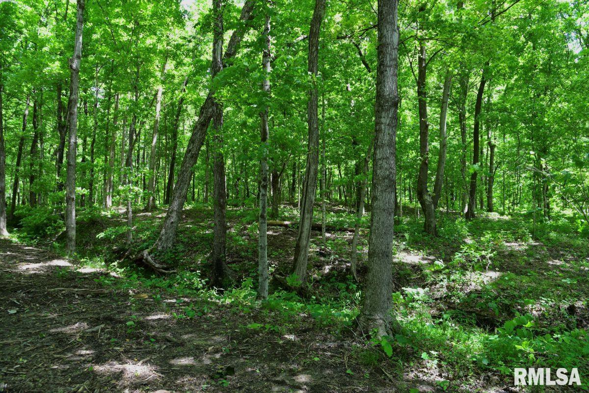 0 Battleford Road Stonefort, IL 62987 - Photo 4 of 22