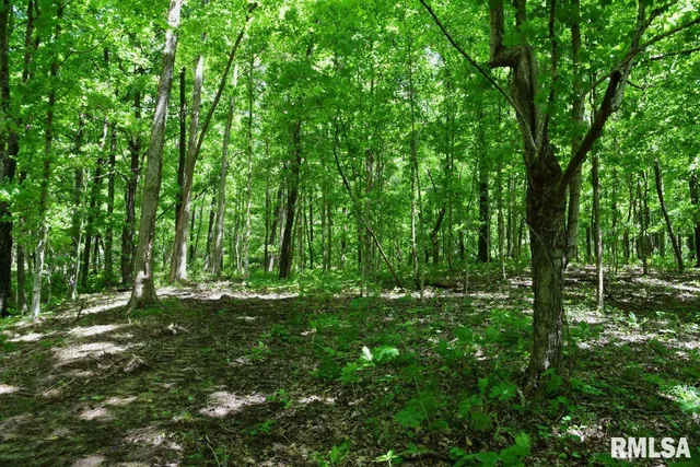 $62,550 | 0 Battleford Road, Stonefort, IL 62987