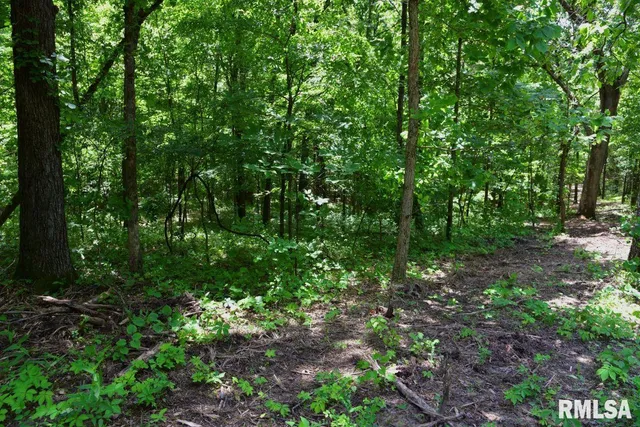 $62,550 | 0 Battleford Road, Stonefort, IL 62987