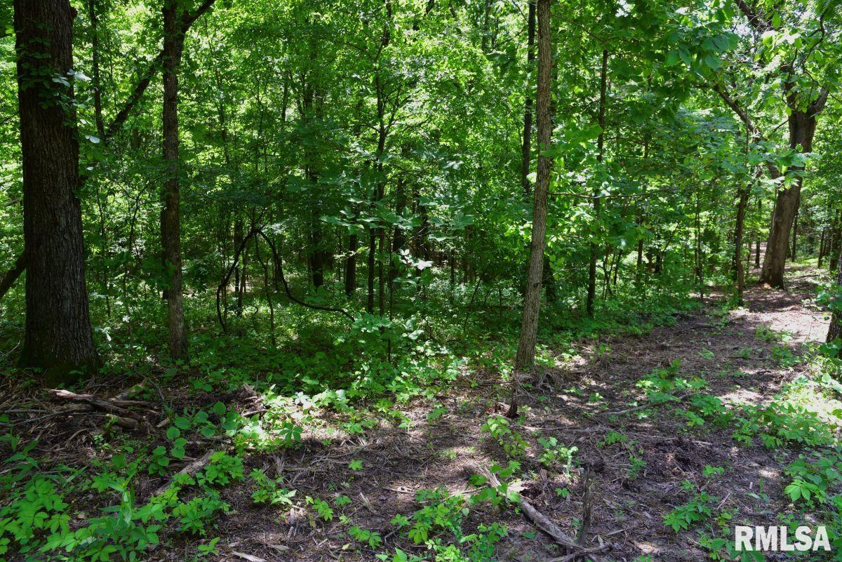 0 Battleford Road Stonefort, IL 62987 - Photo 7 of 22