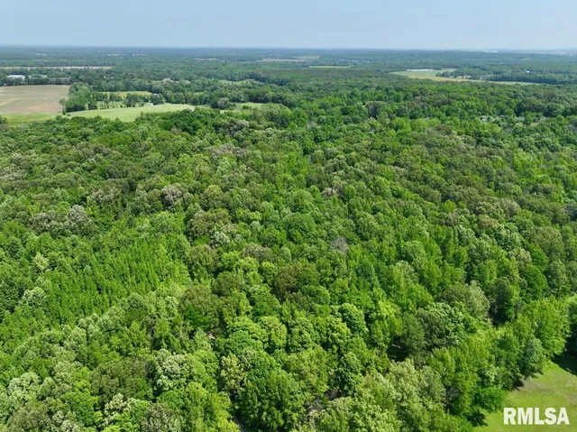 $62,550 | 0 Battleford Road, Stonefort, IL 62987