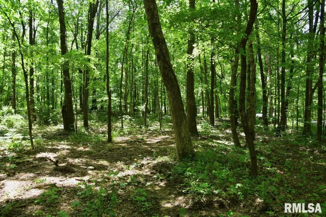 $62,550 | 0 Battleford Road, Stonefort, IL 62987