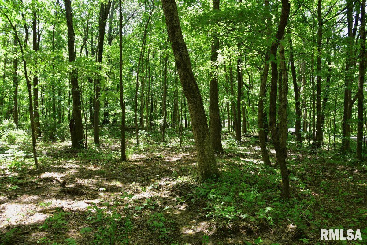 0 Battleford Road Stonefort, IL 62987 - Photo 9 of 22