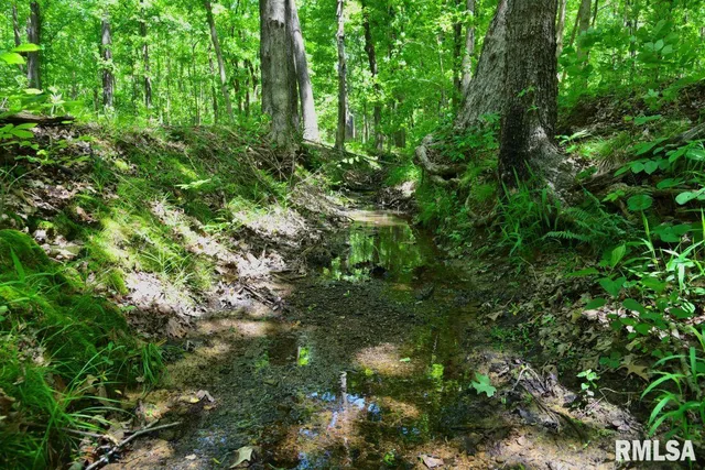 $62,550 | 0 Battleford Road, Stonefort, IL 62987