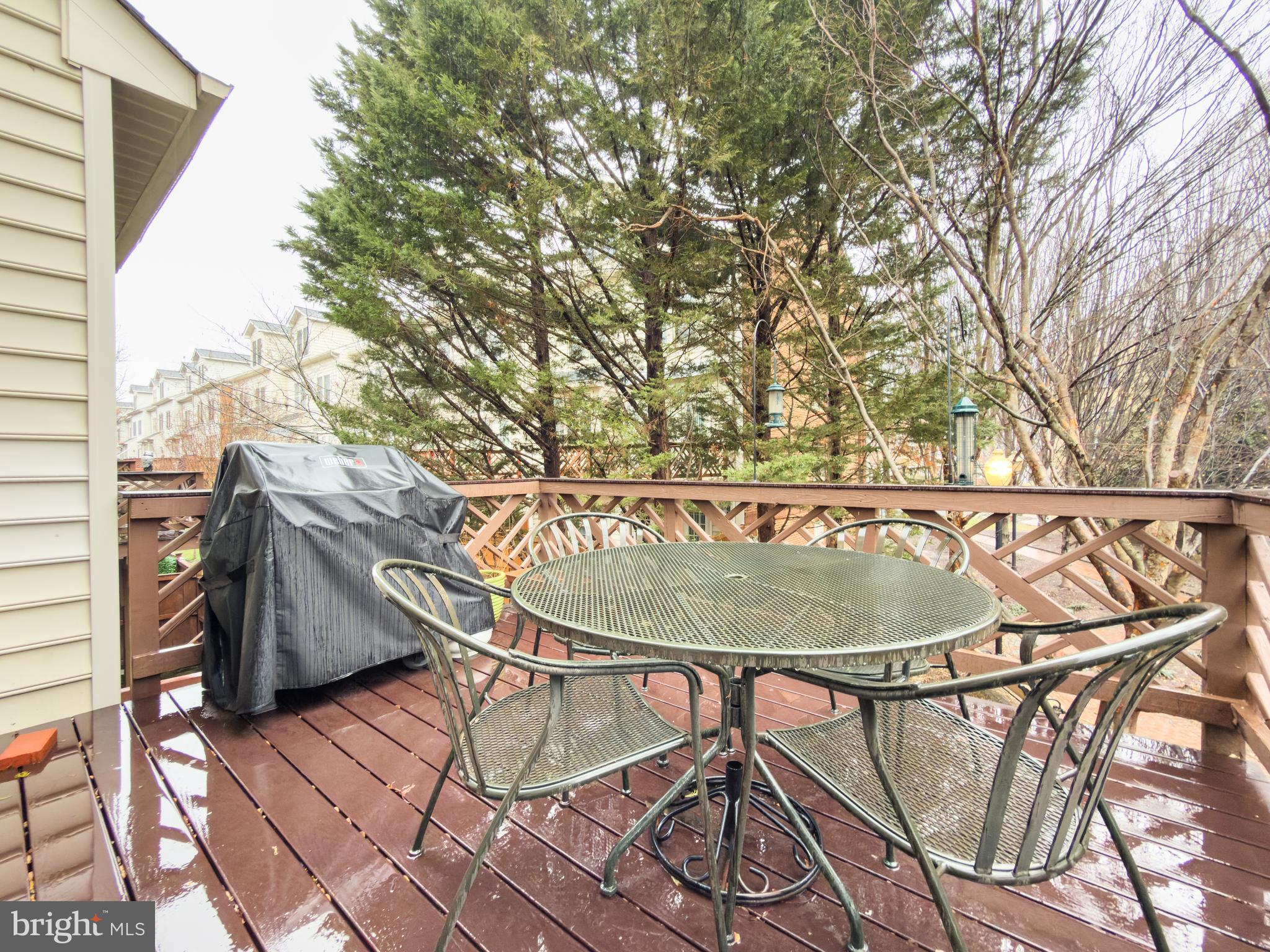 259 Murtha Street Alexandria, VA 22304 - Photo 20 of 48 Deck Surrounded by Trees and Park Setting