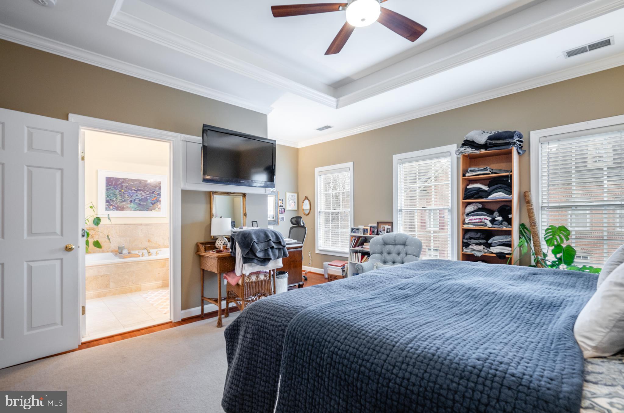 259 Murtha Street Alexandria, VA 22304 - Photo 25 of 48 Tray Ceiling with Ambiance Lighting