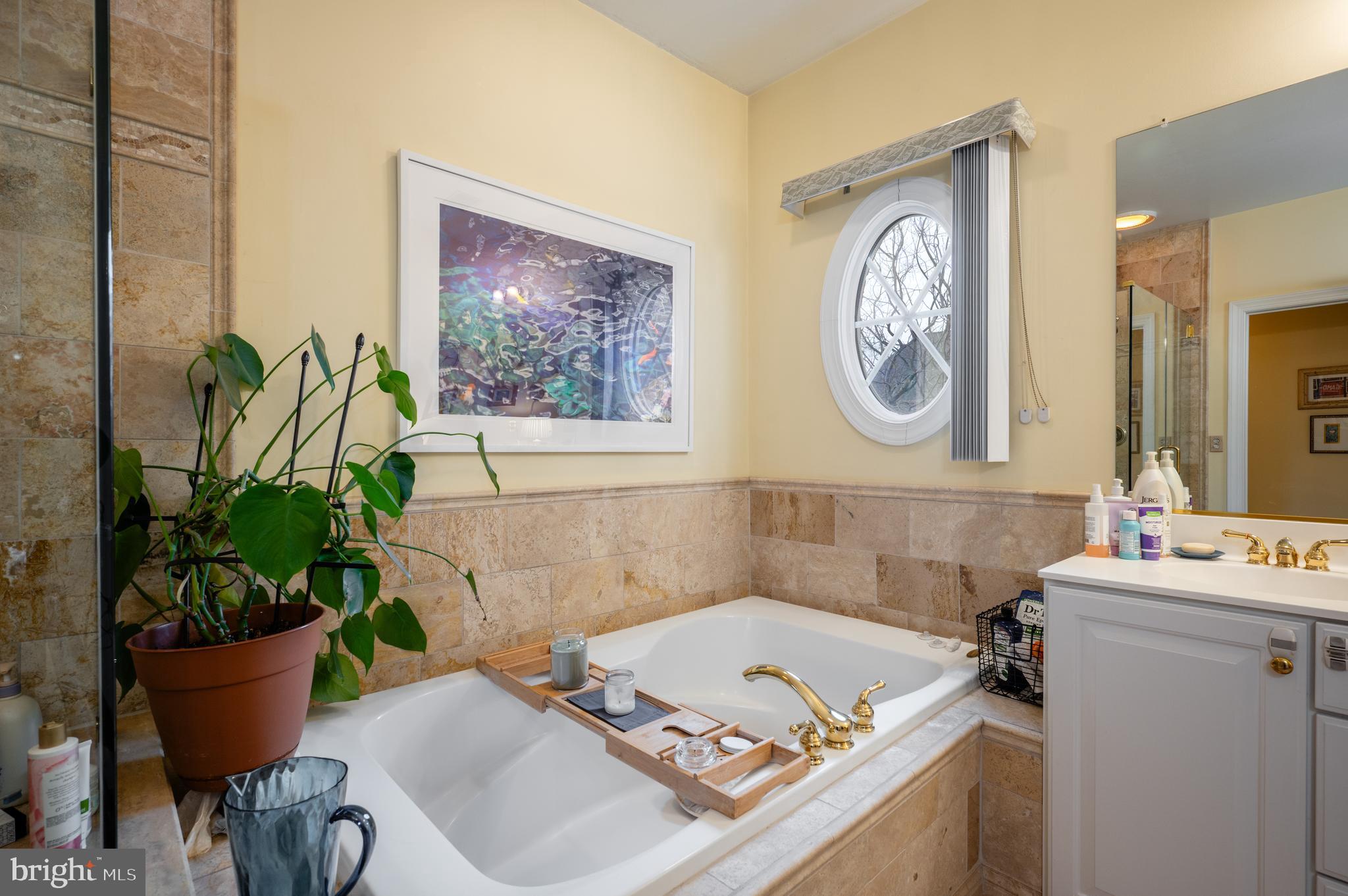 259 Murtha Street Alexandria, VA 22304 - Photo 28 of 48 Primary Bath with Soaking Tub & Shower